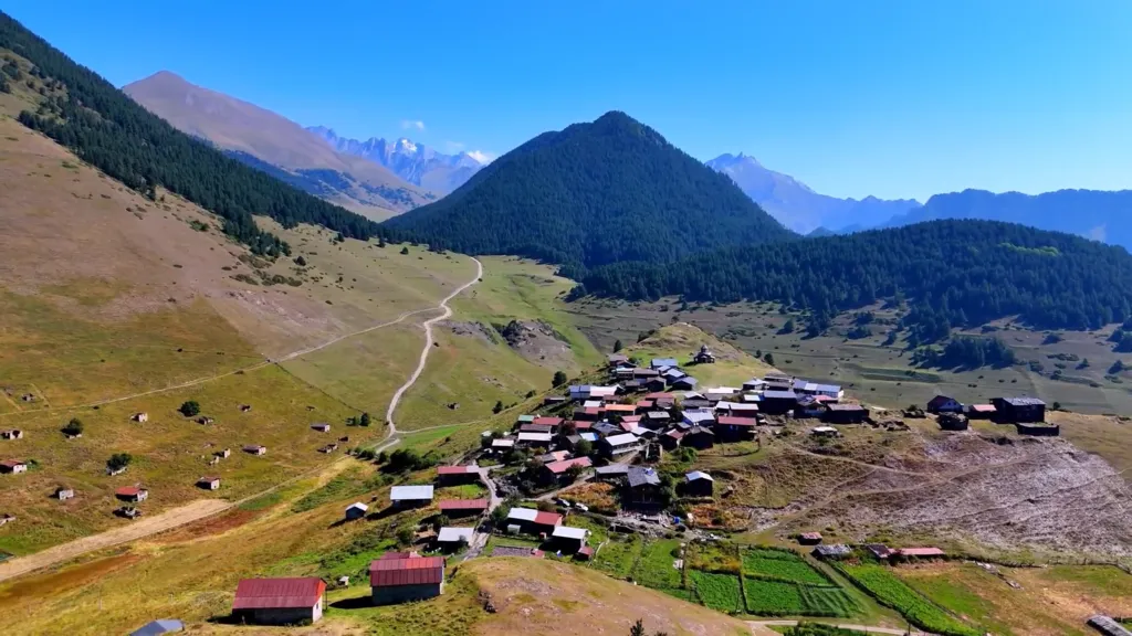 შენაქო